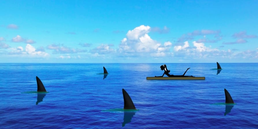 Raft - Sharks - Ocean - Lori